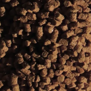 Close-up of Rekrill nut biopolymers for industry